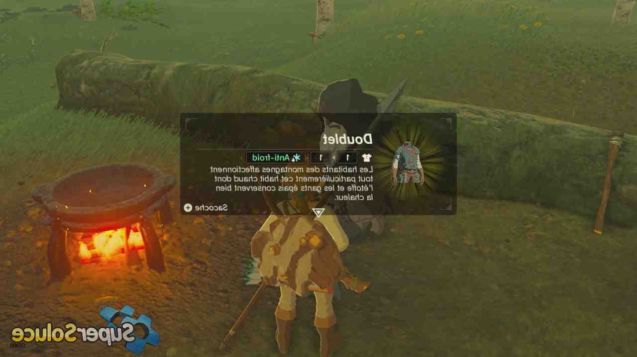 Comment survivre au froid Zelda ?