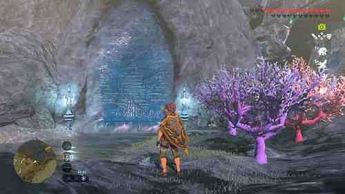 Où trouver Mebol Zelda ?